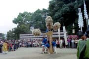 往馬大社例大祭(火祭り)の写真1