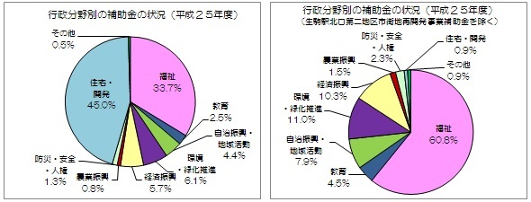 行政分野別の補助金等の状況