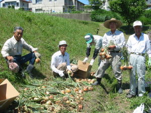 収穫した玉葱と農家の方々