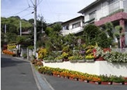 住宅地内に植えられた緑の写真