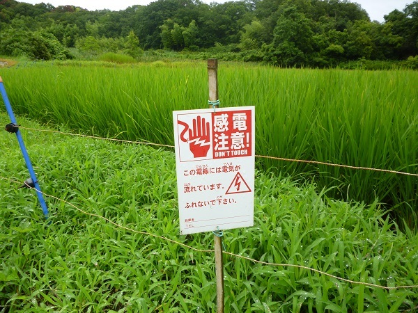 (電気柵設置看板のイメージ)