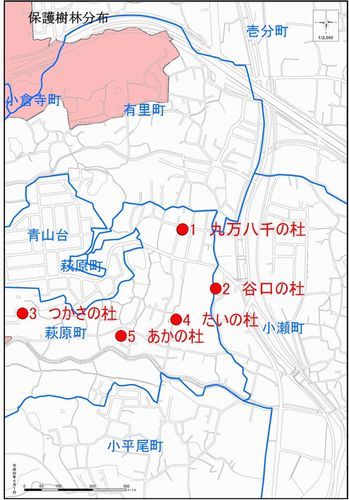 保護樹林の地図