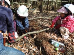 かぶと虫の家づくり作業