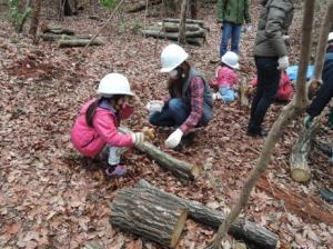 しいたけの植菌作業をする子ども達