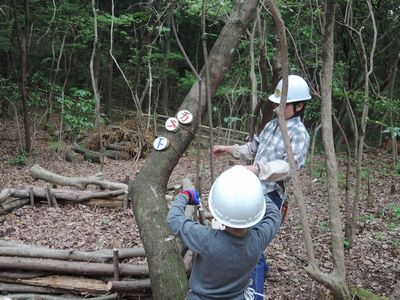 かぶと虫の家の表示取り付け