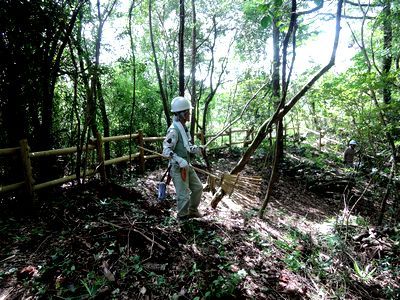 下草刈りをするボランティアの男性