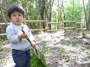 杭打ちをじっと見守る男の子