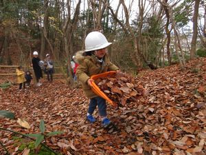 落葉をかぶと虫の家まで運んでいる子供の様子