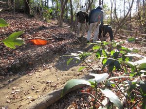 園路を整備している様子