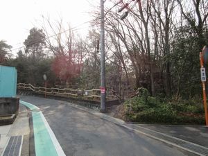 2月の市民の森の外観