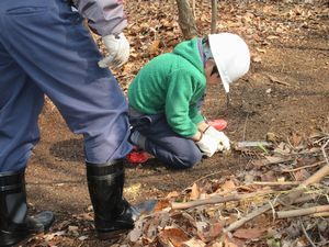 園路の切り株を切っている様子