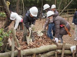 かぶと虫の家の天地返しの様子