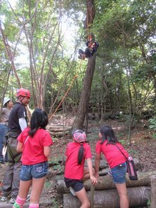 木登りを見ている子どもたちの写真