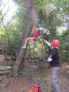 ロープで木登りしている写真