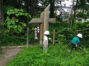 草村の何かを探す子どもの様子