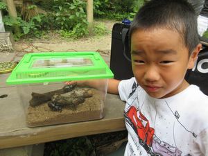 子どもと虫かごの写真