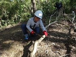 小学生の男の子が木を切っている写真