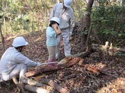 杭を打っている女の子の写真