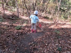 落ち葉を掃いている子どもの写真