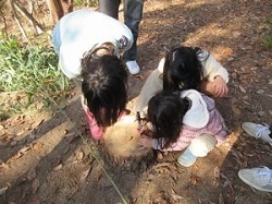 クラフトを作成している女の子3人の写真