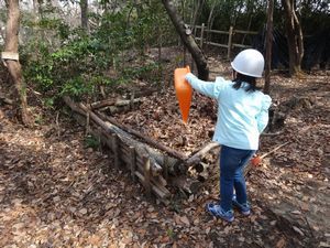 落ち葉を、かぶとむしのいえ　に入れている写真