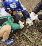 竹を輪切りにしている男の子の写真