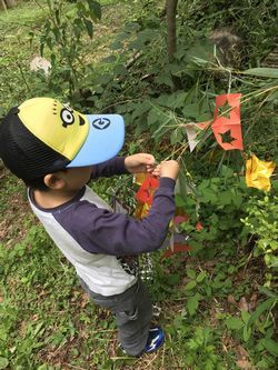 七夕飾りを笹に取り付けている男の子の写真