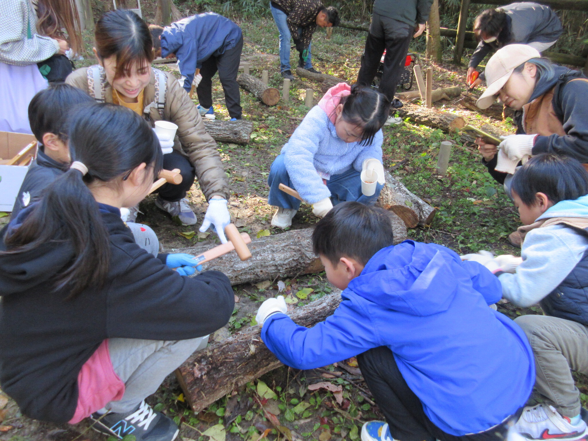 生駒台みんなの森 | 生駒市公式ホームページ