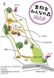 みんなの森の中のイラスト地図