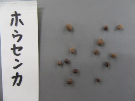 学年の活動 生駒市公式ホームページ