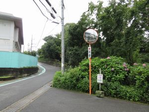 7月の市民の森の様子