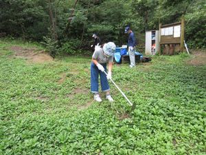 長い柄の草削りで、草刈りをする女の子の写真