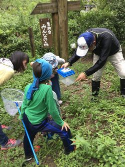 飼育ケースに入っているバッタを見ている子ども達の写真