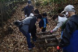 井桁積みされたホダ木を見ている参加者達の写真