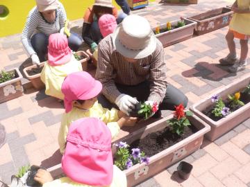 花を植えているところ