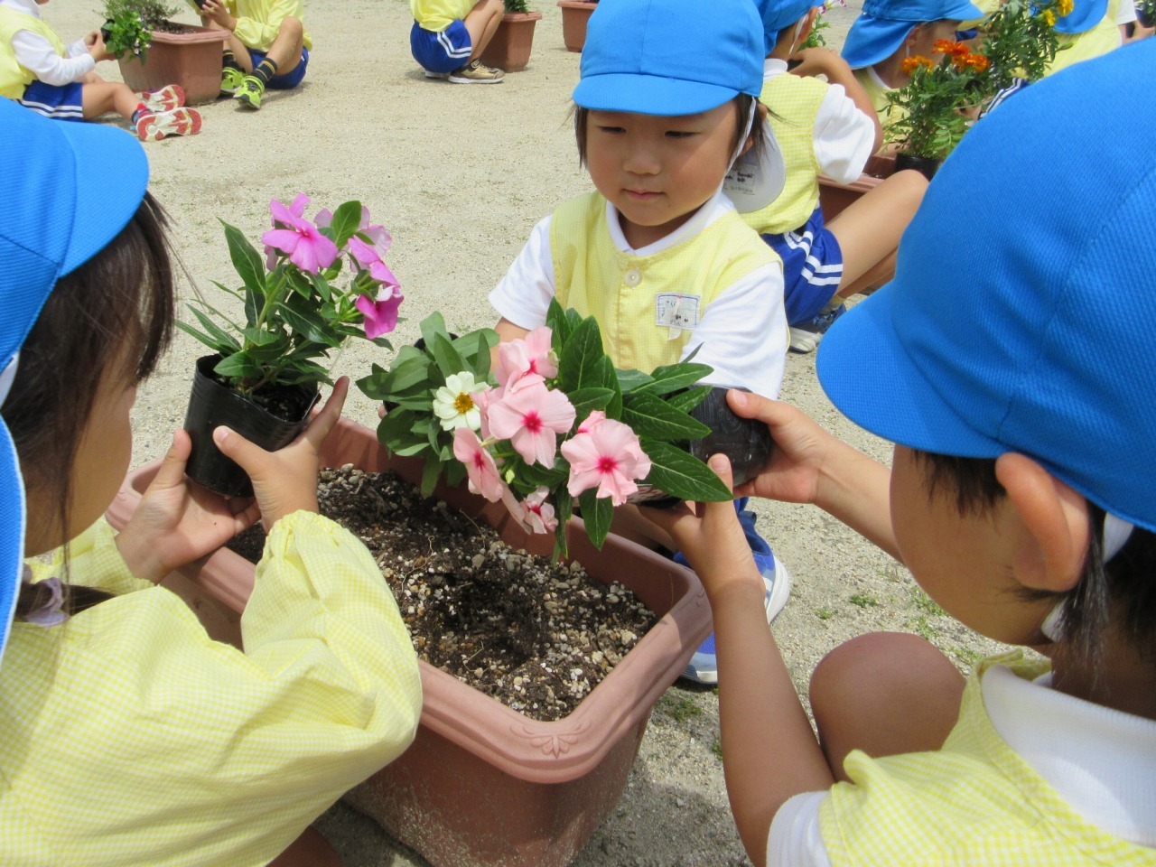 花をを植える園児
