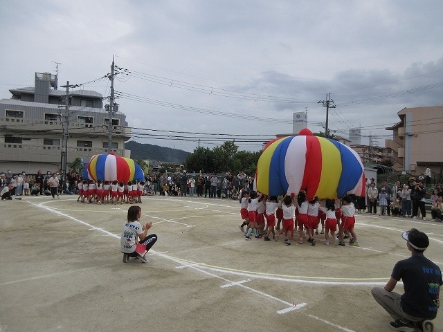 5歳児運動会