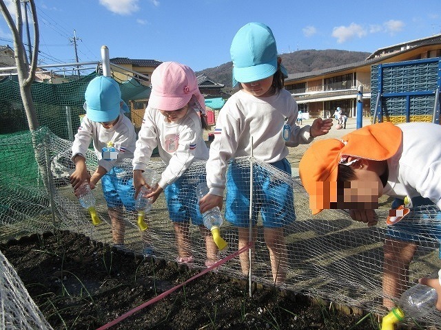 4歳児 水やり