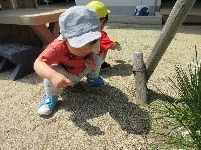 2歳児外遊び