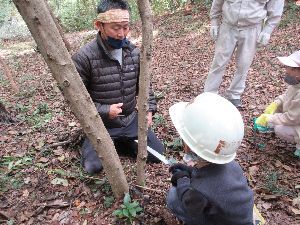 木を切っている男の子と、それを指導している大人