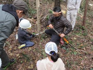 木をノコギリで伐っている男の子