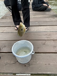 釣り2