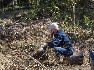 伐った竹をナタで砕いている男性