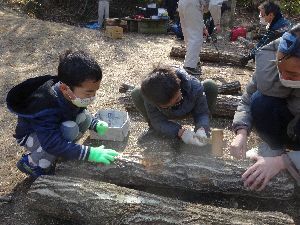 ホダ木に種駒を打ち込む親子