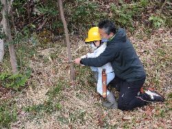 黄色のヘルメットを被った子どもが大人に手を添えられてノコギリで木を伐っている