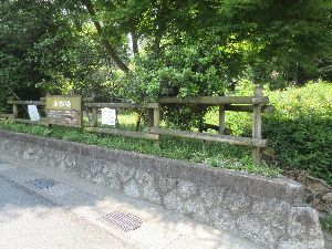 道路から見た市民の森