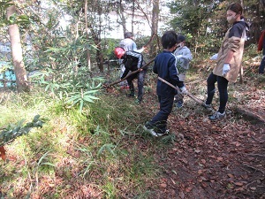 森の枝を片付けている様子