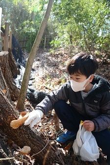 シイタケをとっている男の子