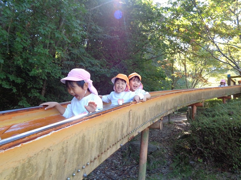 4歳児秋の遠足