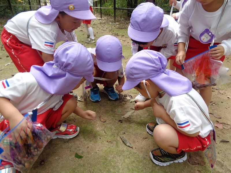 3歳児秋の遠足3